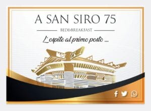 Tiziano Ferro a San Siro: Un’emozione da vivere a pochi passi dal sogno